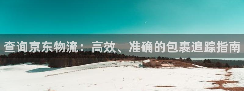 28圈黑钱:查询京东物流:高效、准确