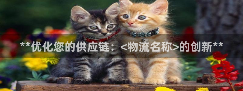 28圈注册登录：**优化您的供应链：