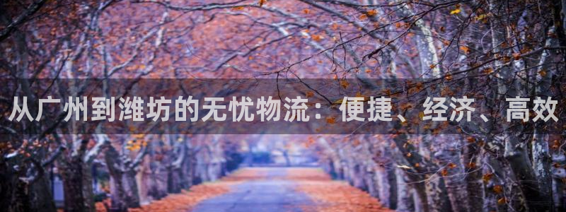 28圈登录流程:从广州到潍坊的无忧物