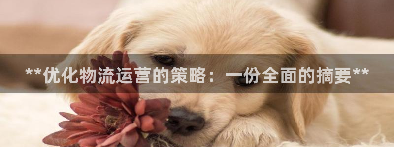 28圈游戏最新版：**优化物流运营的