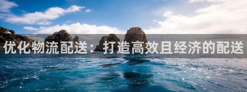 28圈怎么下载：优化物流配送：打造高