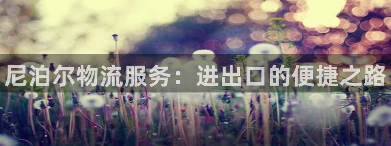 28圈黑吗