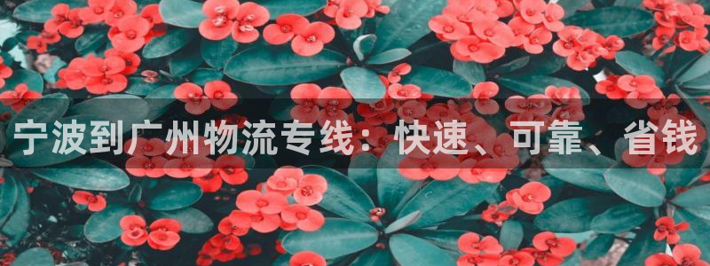 28圈加拿大官网