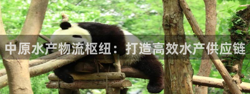 28圈注册网站多少钱：中原水产物流枢