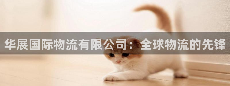 28圈麻将胡了爆分视频：华展国际物流