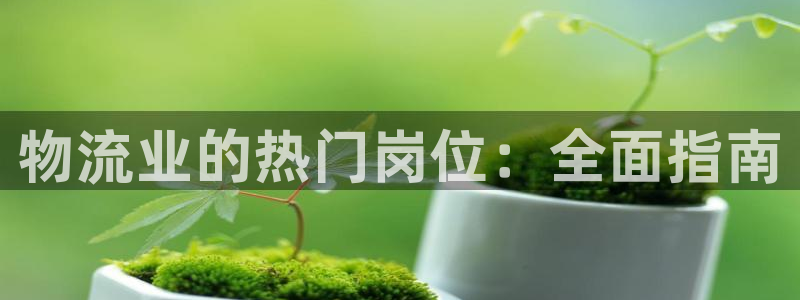 28圈官方网站是多少