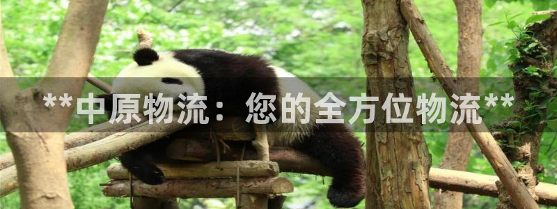 28圈注册地址：**中原物流：您的全
