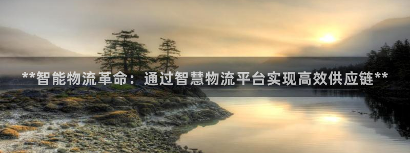 28圈账号注册：**智能物流革命：通