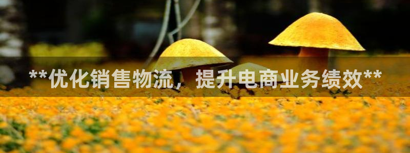 28圈注册登录流程:**优化销售物流