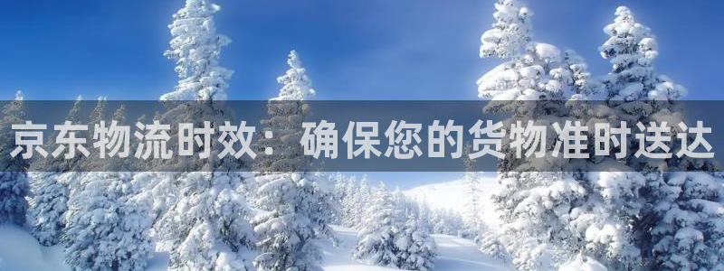 28圈官网开奖结果预测查询：京东物流