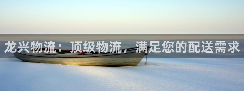 28圈PG电子游戏：龙兴物流：顶级物
