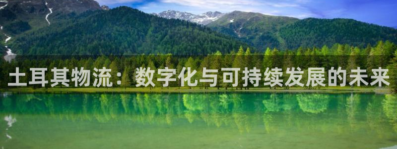 28圈链接是什么