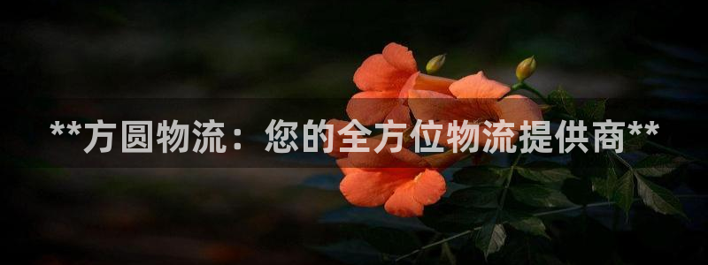 28圈官方网站是多少:**方圆物流: