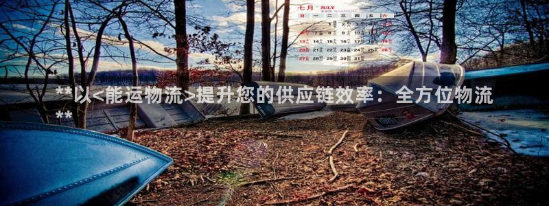 28圈辅助:**以<能运物流>提升您