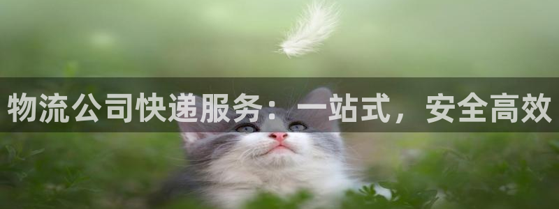 28圈加拿大怎么玩：物流公司快递服务