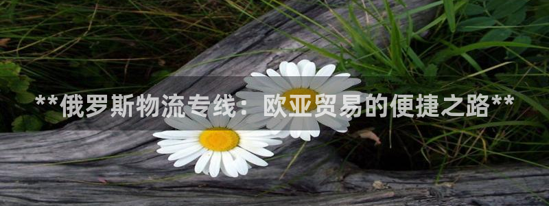 28圈官网版下载：**俄罗斯物流专线