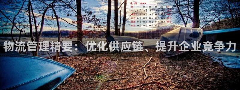 28圈最稳打法：物流管理精要：优化供