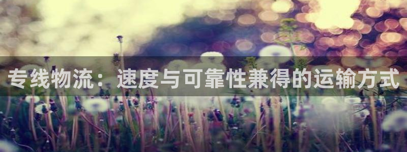 28圈反水:专线物流:速度与可靠性兼