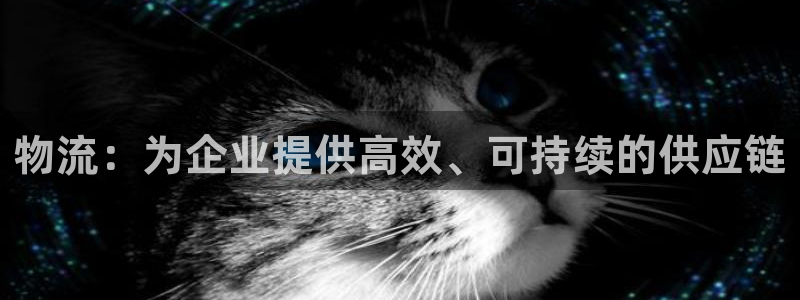 28圈官方
