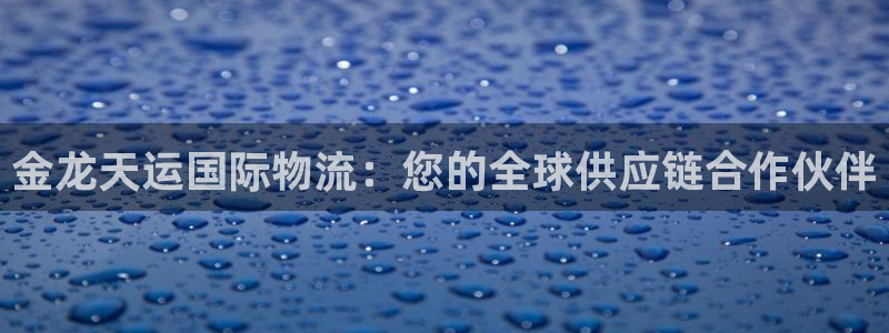 28圈app注册地址:金龙天运国际物