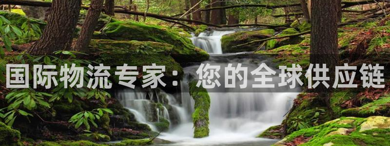 28圈取保：国际物流专家：您的全球供