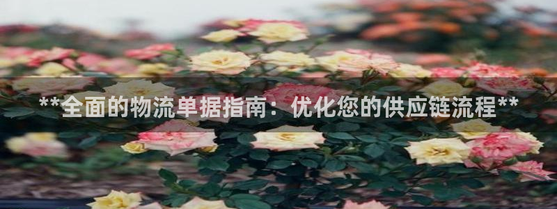 28圈怎么申请代理
