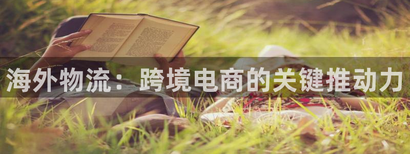 28圈最稳打法