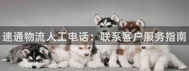 28圈注册网站：速通物流人工电话：联