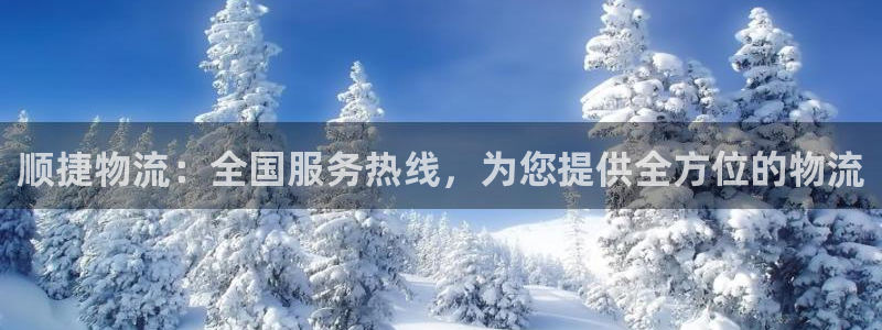 28圈游戏