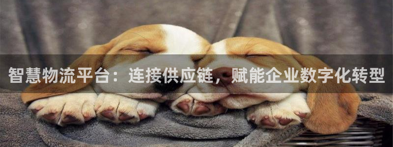 28圈犯法吗