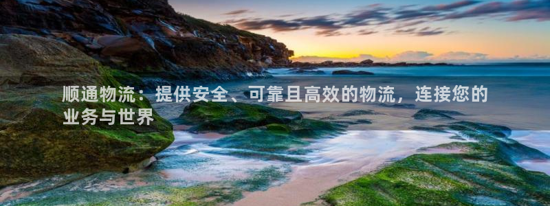 28圈游戏链接：顺通物流：提供安全、
