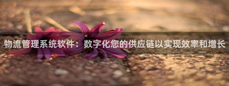 28圈注册网站链接是什么：物流管理系