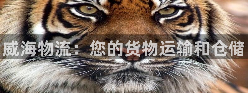 28圈官网平台下载：威海物流：您的货
