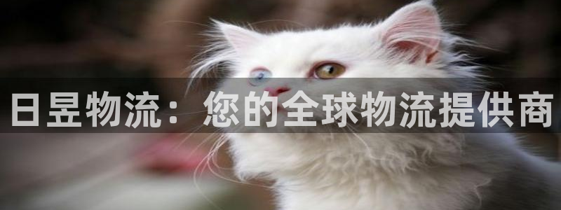 28圈下载二维码：日昱物流：您的全球