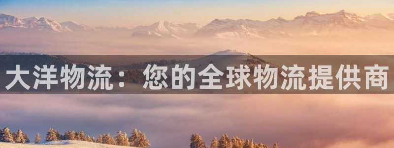 28圈注册网站多少钱：大洋物流：您的
