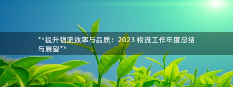 28圈链接：**提升物流效率与品质：