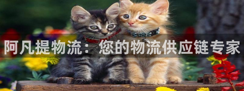 南宫28圈官网：阿凡提物流：您的物流