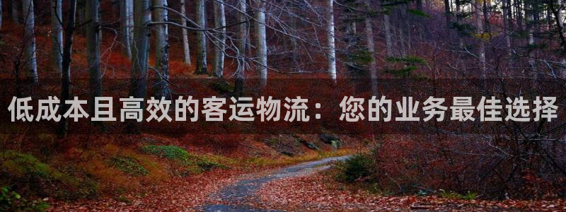 28圈注册网站多少：低成本且高效的客