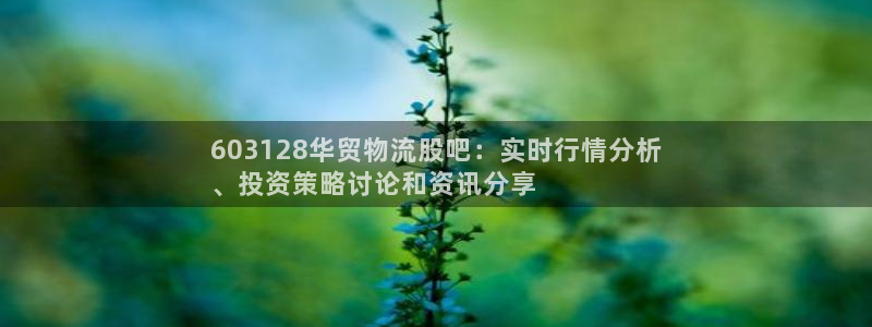 28圈登录用户名登录不上：60312