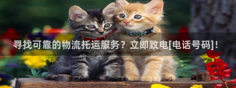 28圈加拿大能提现吗