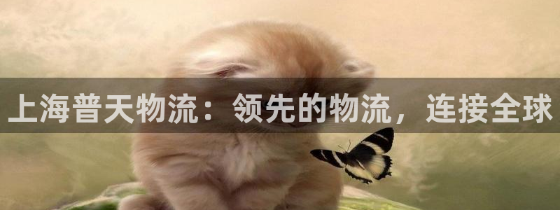 28圈登录用户名登录不上：上海普天物