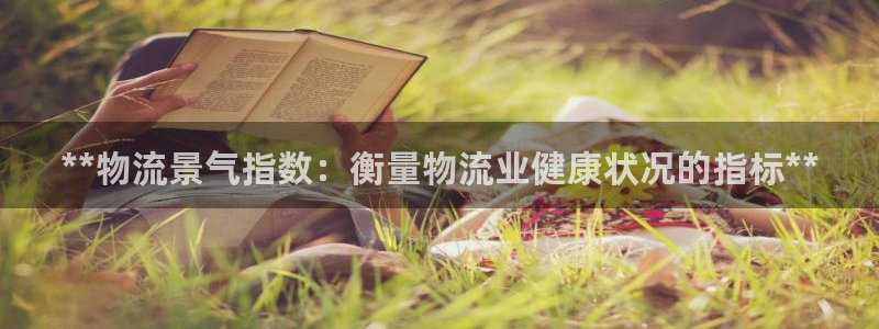 28圈.ccm:**物流景气指数:衡