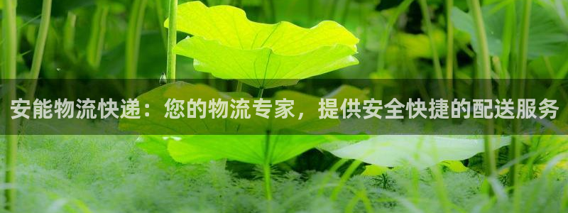 28圈官方网站是多少