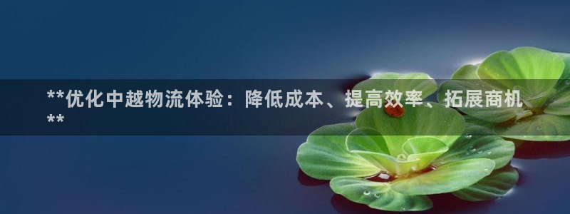 28圈官方