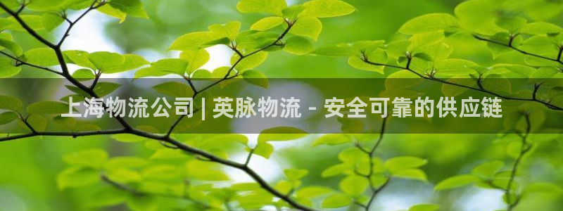 28圈反水怎么算：上海物流公司 | 