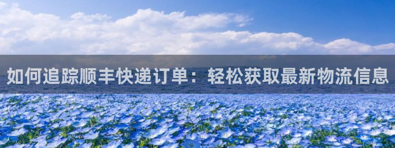 28圈为什么没有赢过一次：如何追踪顺