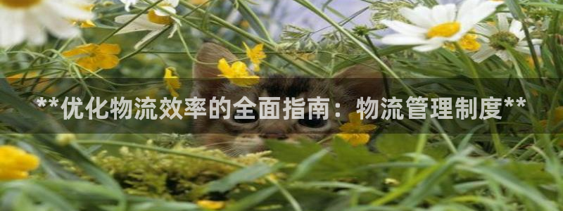 28圈下载链接是多少