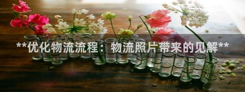 28圈那个才是充值账号