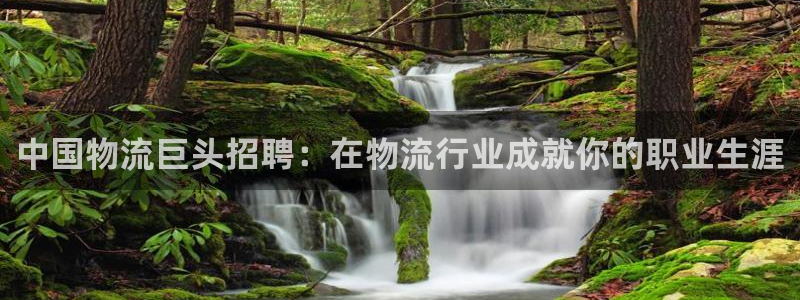 28圈充值：中国物流巨头招聘：在物流