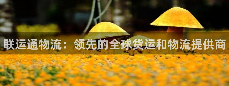 28圈能退款吗：联运通物流：领先的全